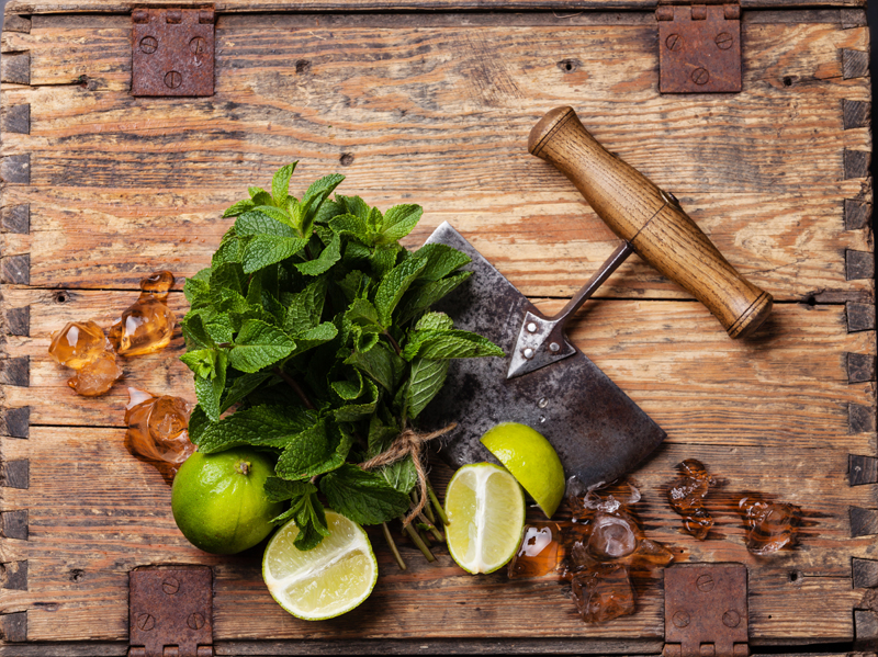 Ingredients for making mojitos Ice cubes, mint leaves and lime o